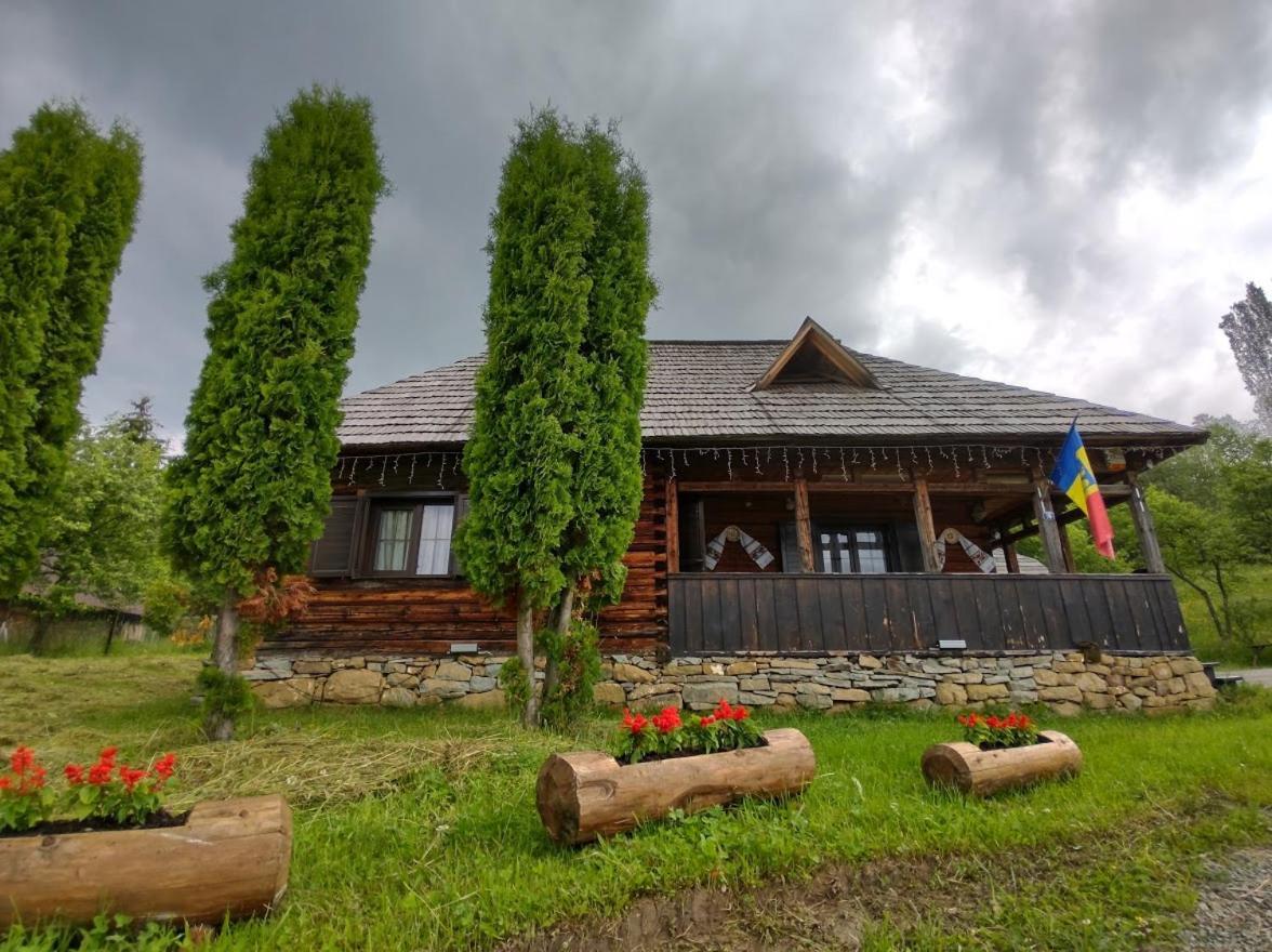 Casuta Lu' Liviu Villa Borsa  Ngoại thất bức ảnh