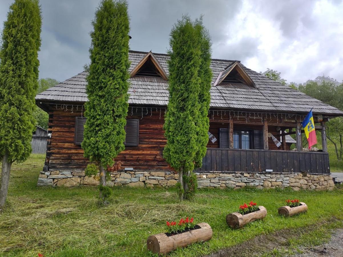 Casuta Lu' Liviu Villa Borsa  Ngoại thất bức ảnh